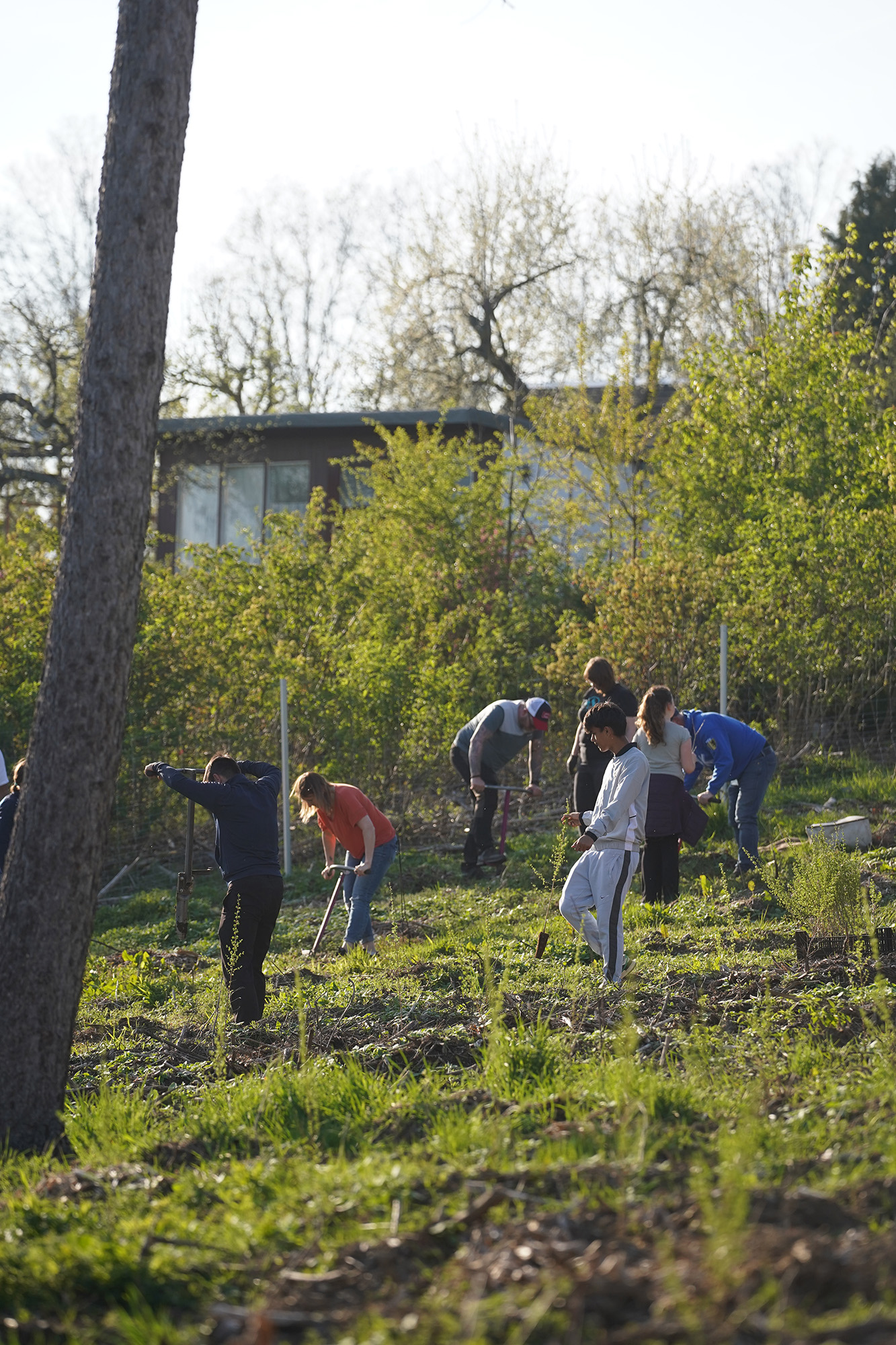 Helferinnen pflanzen 2.000 Bäume