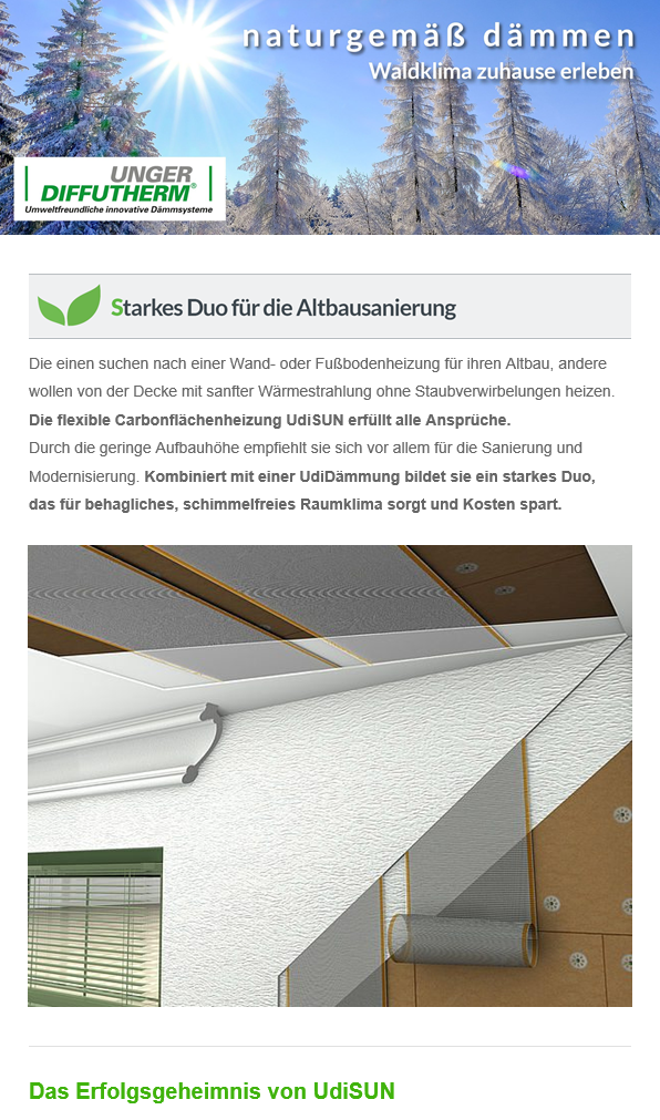 Vorschau des Newsletters im Februar mit dem Betreff "Starkes Duo für die Altbausanierung"