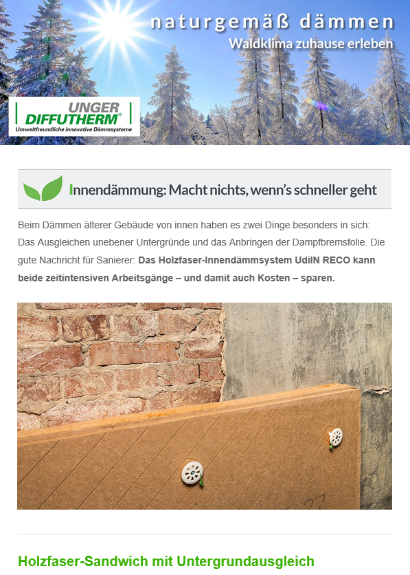 Vorschau des Newsletters im Januar mit dem Betreff "Innendämmung: Macht nichts, wenn's schneller geht"